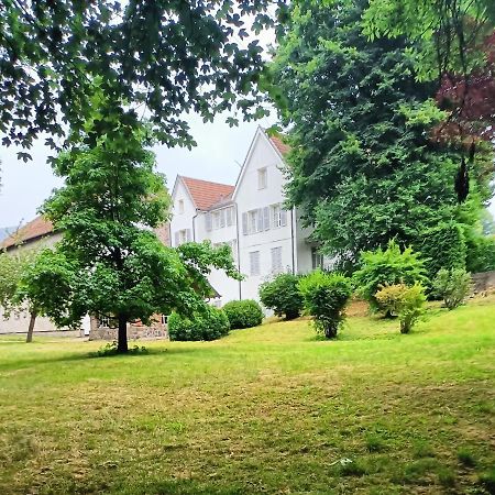 サン・モーリス・シュル・モセル Domaine De La Moselle Bed & Breakfast エクステリア 写真