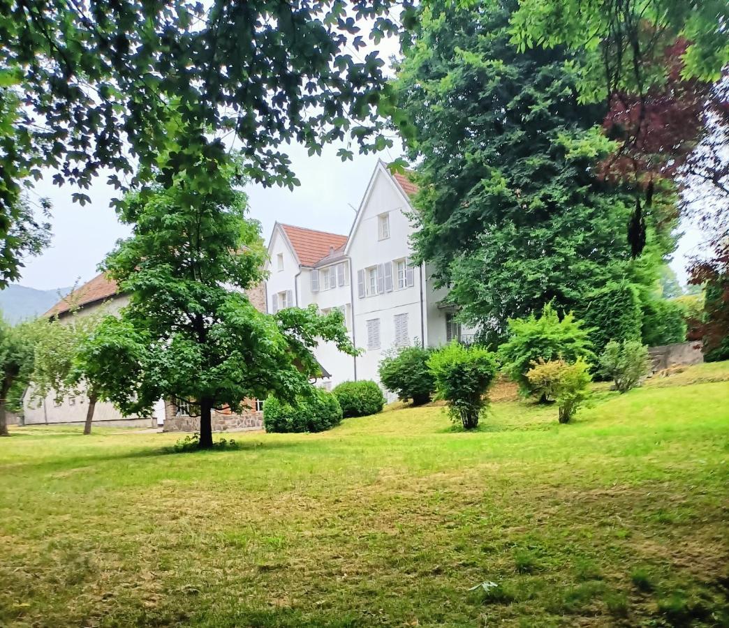 サン・モーリス・シュル・モセル Domaine De La Moselle Bed & Breakfast エクステリア 写真